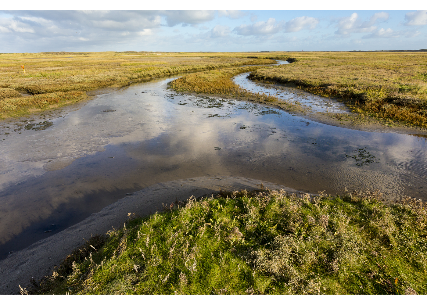 Texel